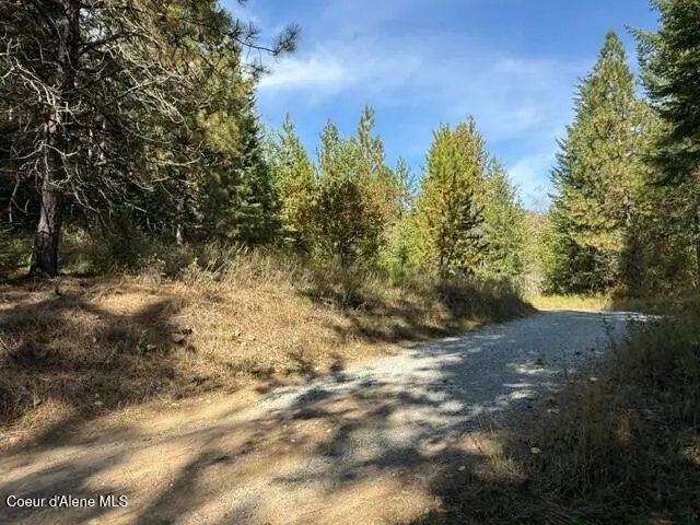Gold Cup Mountain Rd, Priest River, ID 83856 - #3