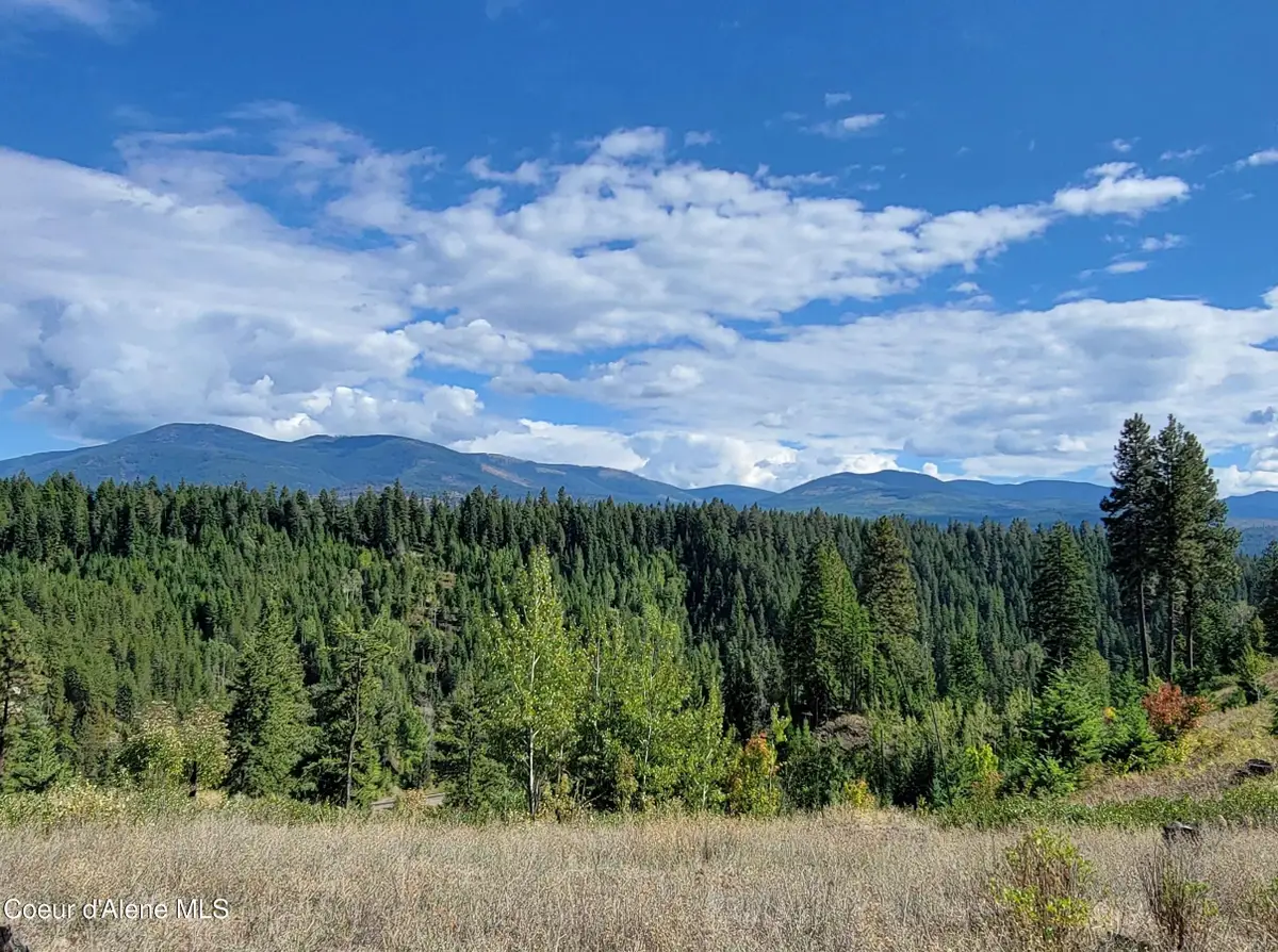 NNA Falcon Ridge Dr Tract 11, Naples, ID 83847 - #1