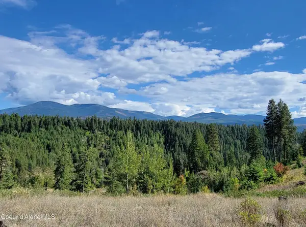 NNA Falcon Ridge Dr Tract 11, Naples, ID 83847