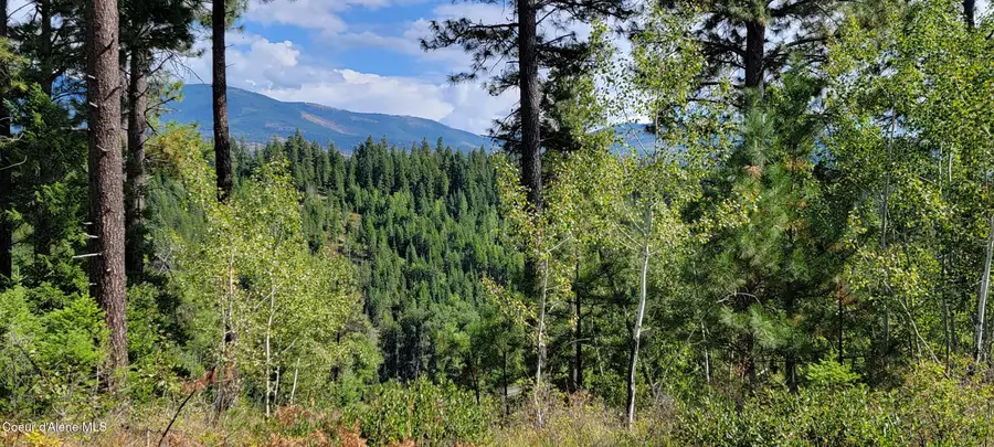 NNA Falcon Ridge Dr Tract 11, Naples, ID 83847 - #2
