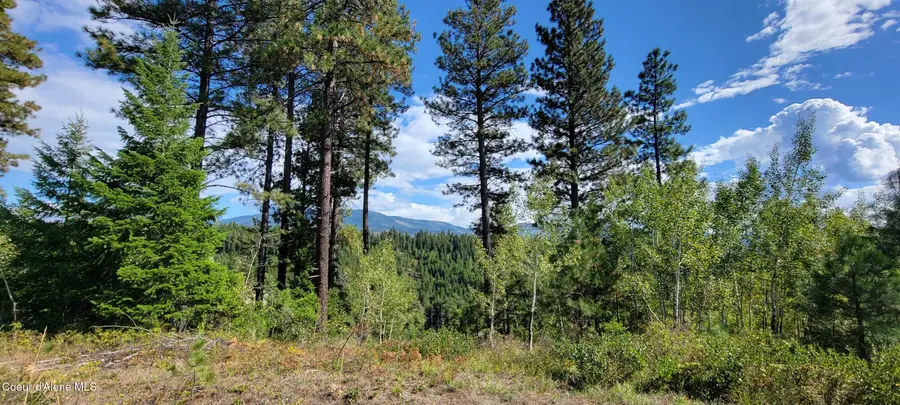 NNA Falcon Ridge Dr Tract 11, Naples, ID 83847 - #3