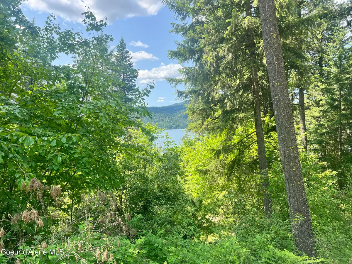 00NKA Lakeview Dr., Harrison, ID 83833 - #1