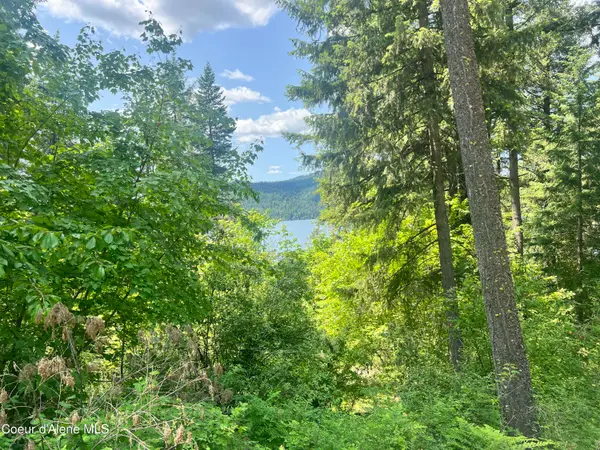 00NKA Lakeview Dr., Harrison, ID 83833