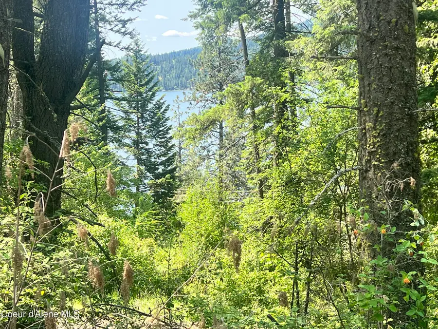 00NKA Lakeview Dr., Harrison, ID 83833 - #2