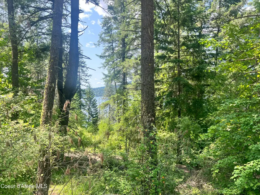 00NKA Lakeview Dr., Harrison, ID 83833 - #3