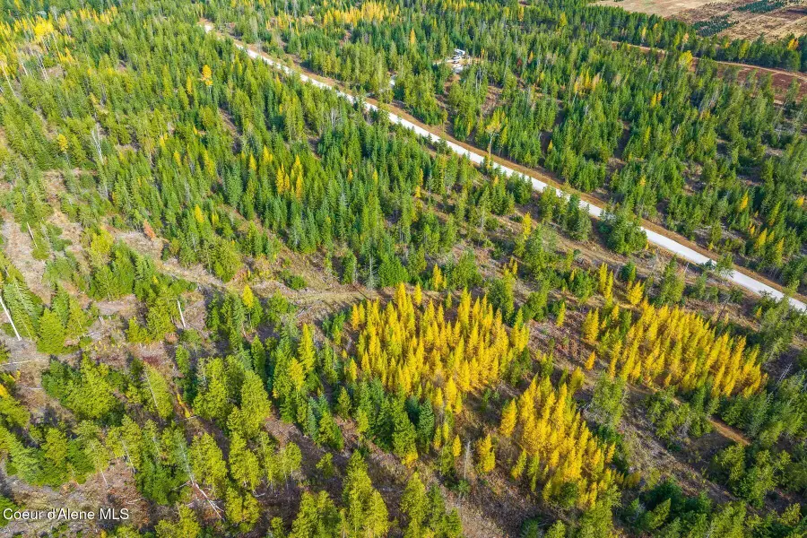 NNA Noble Lane Lot 4 Phase 2, Sandpoint, ID 83864 - #3