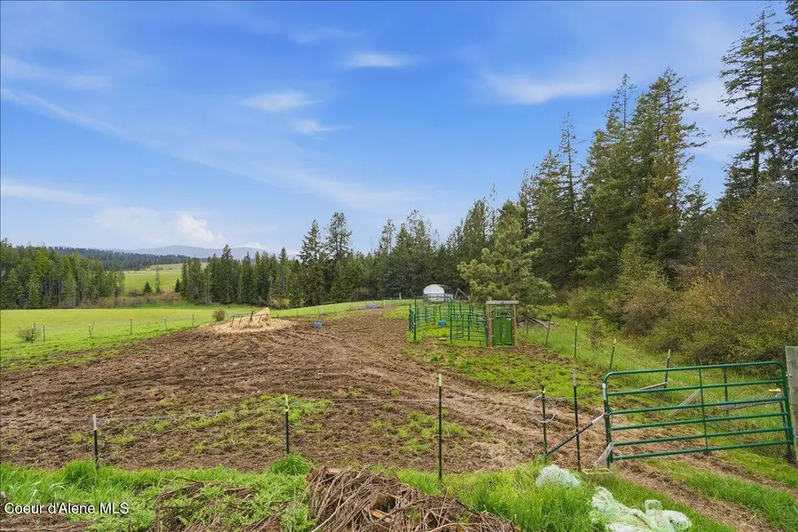 NNA CHEYENNE DR, Saint Maries, ID 83861 - #3