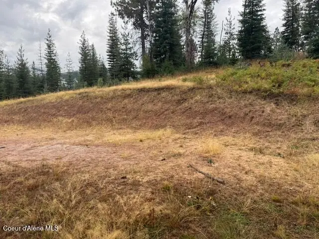 NKA Parcel B, Pinehurst, ID 83850 - #3