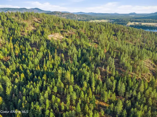 Lots 1 & 2 Moose Mountain Road, Priest River, ID 83856