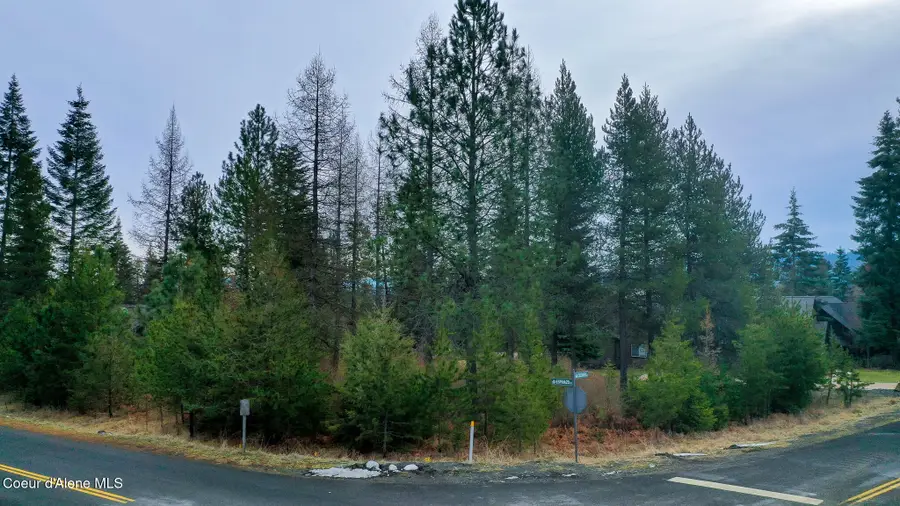 4025 W Cielo View Ct, Coeur Dalene, ID 83814 - #2