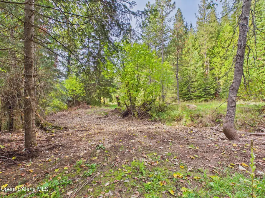 2815 Bear Creek RD, Kingston, ID 83839 - #3
