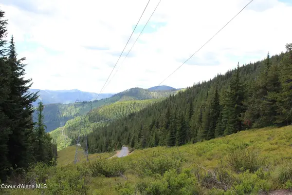 19a Last Chance Bullion Creek Rd, Mullan, ID 83846