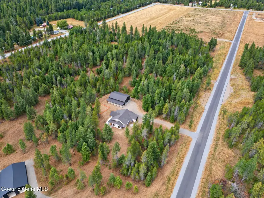 25005 W Ellington Ct, Athol, ID 83801 - #3
