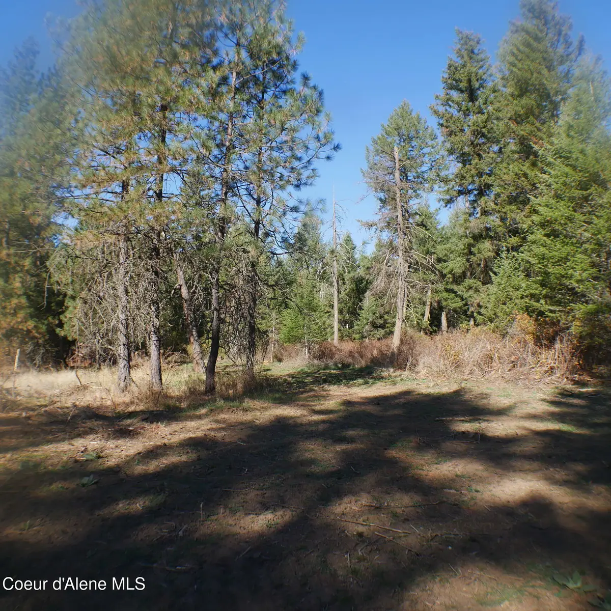 E Bell Canyon Rd, Harrison, ID 83833 - #1