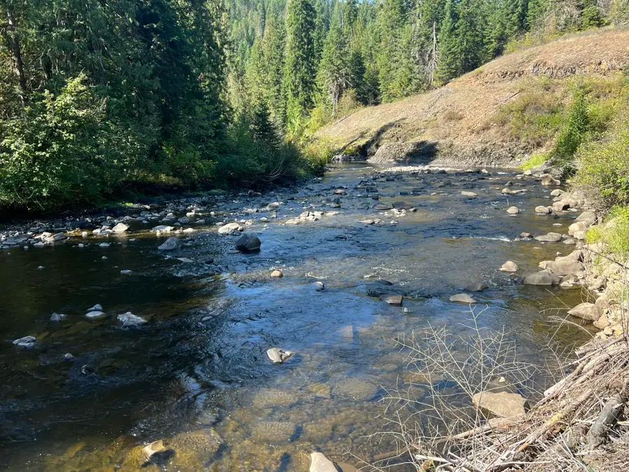 36.5 acres Of 5856 Lacey Meadows Rd, Weippe, ID 83553 - Image #2