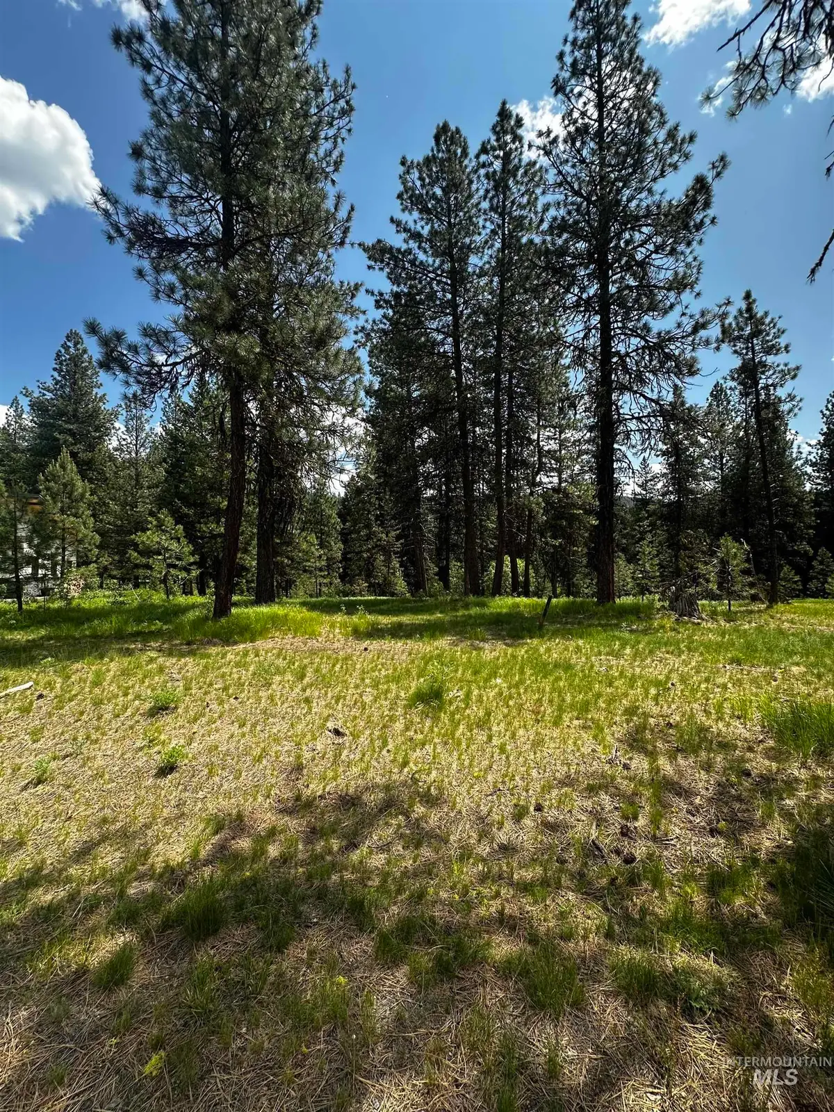 23 Vernon Court, McCall, ID 83638 - Image #1