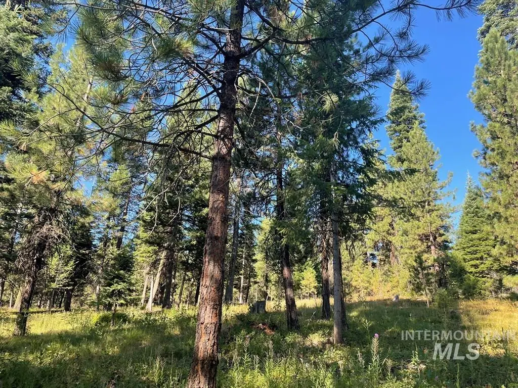 TBD Crowley Lane, McCall, ID 83638 - Image #1