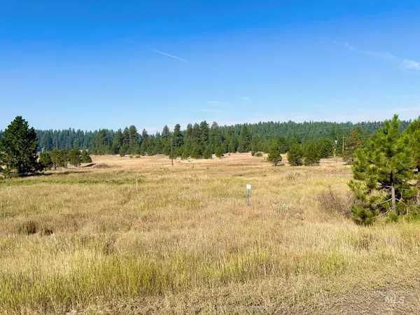 Lot 17 Whitefield Lane, McCall, ID 83638