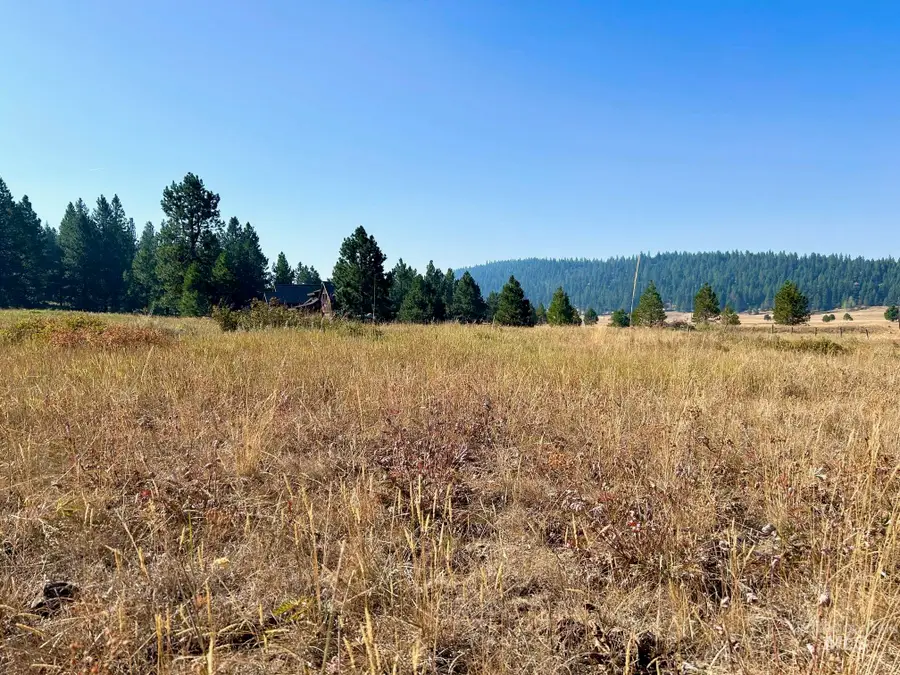Lot 17 Whitefield Lane, McCall, ID 83638 - Image #3