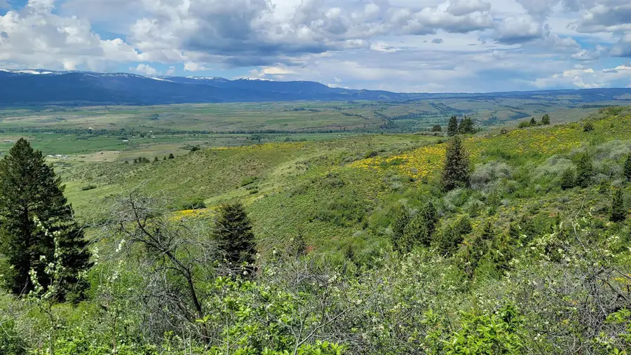 2488 Lappin Lane, Council, ID 83612 - #3