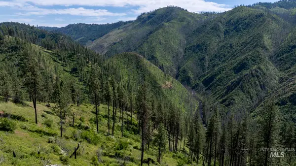 0 Forest Garden Ln, Parcel 7, Weippe, ID 83553