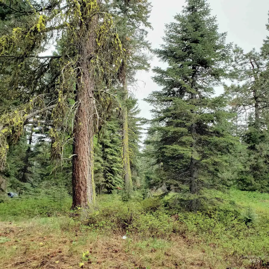 15 Andy, Donnelly, ID 83615 - Image #3