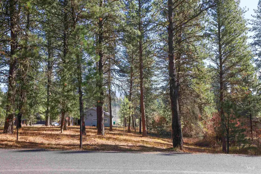 TBD Columbine Drive, New Meadows, ID 83654 - Image #3