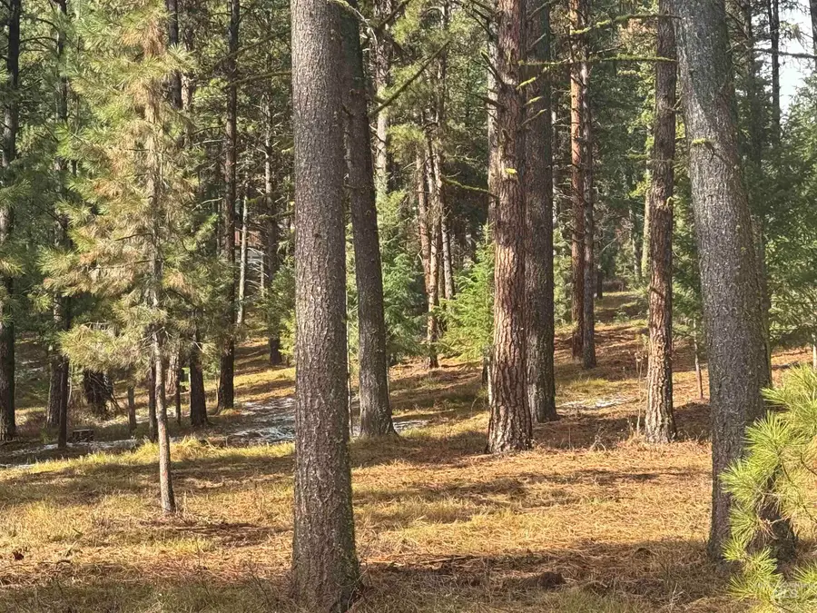 TBD Sorrel, New Meadows, ID 83654 - Image #3