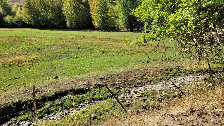 TBD Goodrich Creek Rd., Council, ID 83612 - #2