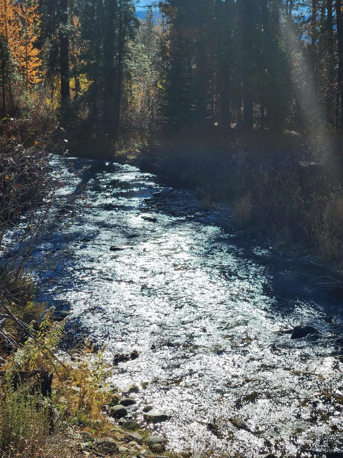 TBD Trinity Creek Rd, Featherville, ID 83647 - Image #1