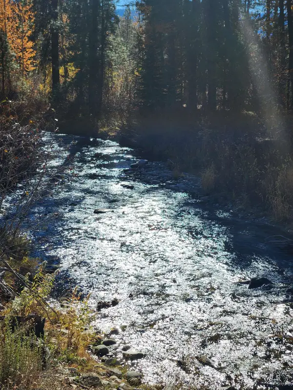 TBD Trinity Creek Rd, Featherville, ID 83647
