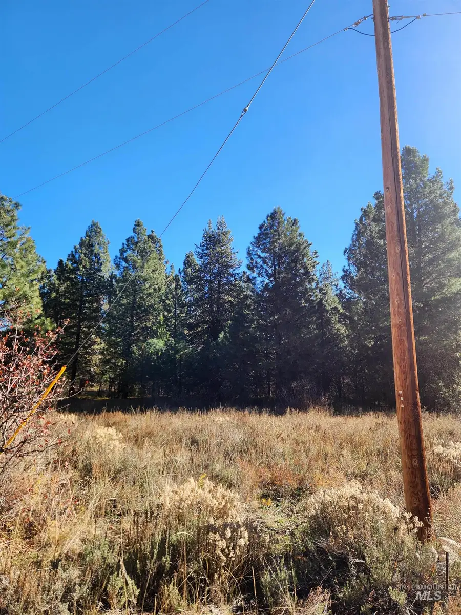 TBD Trinity Creek Rd, Featherville, ID 83647 - Image #2