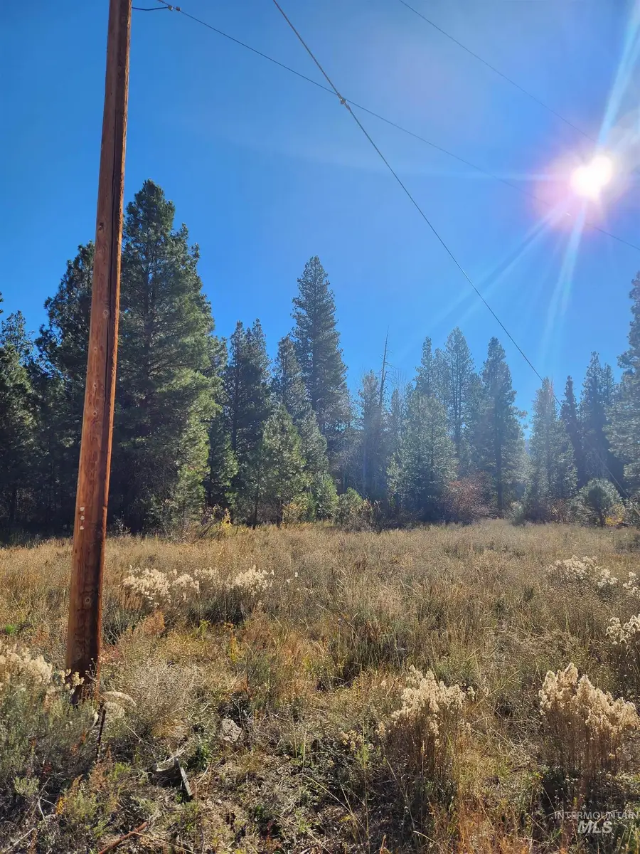 TBD Trinity Creek Rd, Featherville, ID 83647 - Image #3