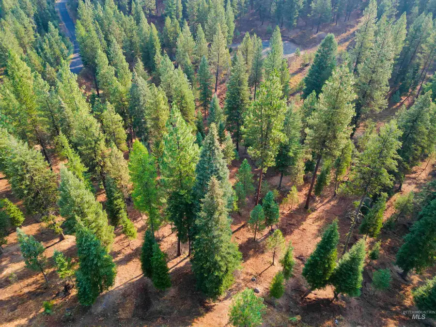 TBD Pine West Drive, New Meadows, ID 83654 - #3