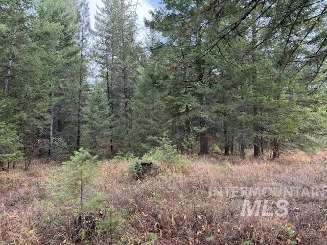 TBD Loch Mira Heights Rd, Cocolalla, ID 83813 - Image #3