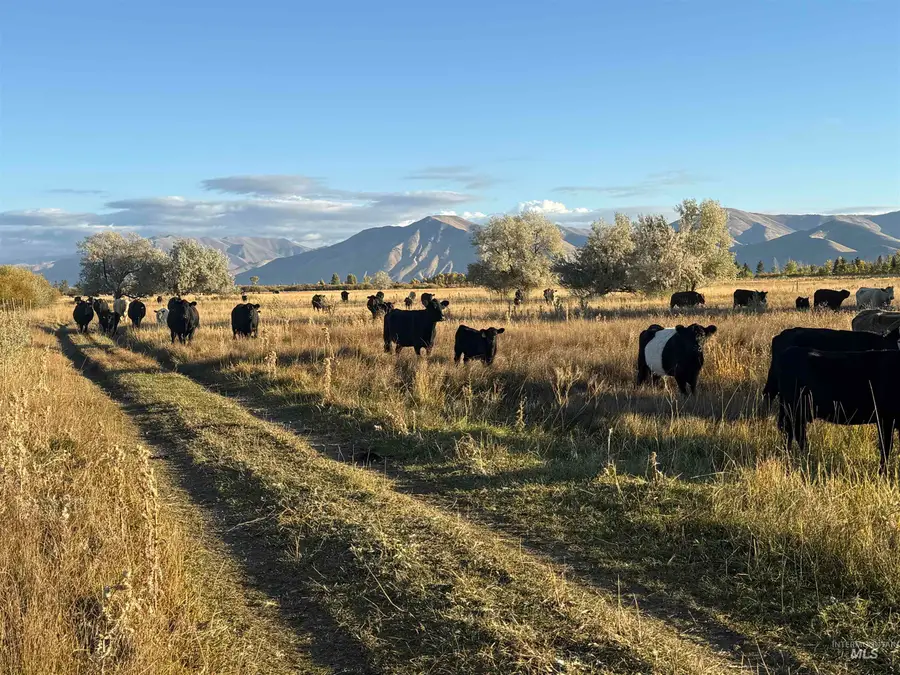 TBD Highway 20, Bellevue, ID 83313 - Image #3