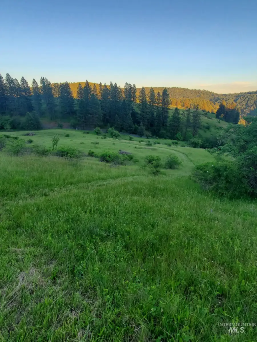 TBD Harmony Heights Loop, Orofino, ID 83544 - Image #2