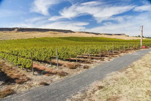 73809 Rattlesnake Road, Arlington, OR 97812