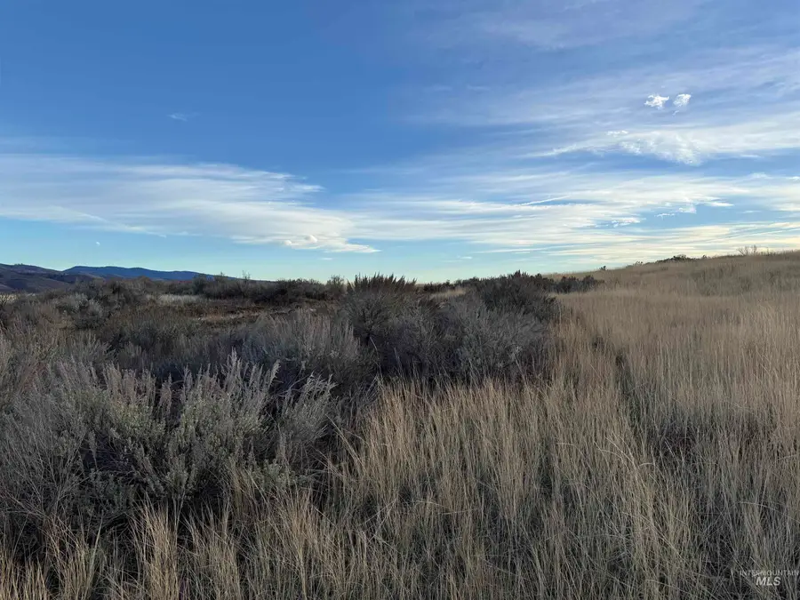 TBD Deer Loop Rd (32 Ac), Council, ID 83612 - Image #2