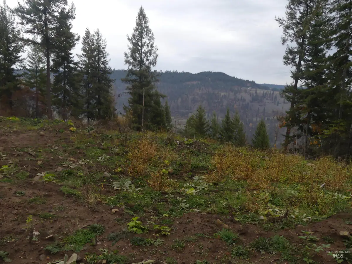 1684 Tranquil Lane (#1), Orofino, ID 83544 - Image #1
