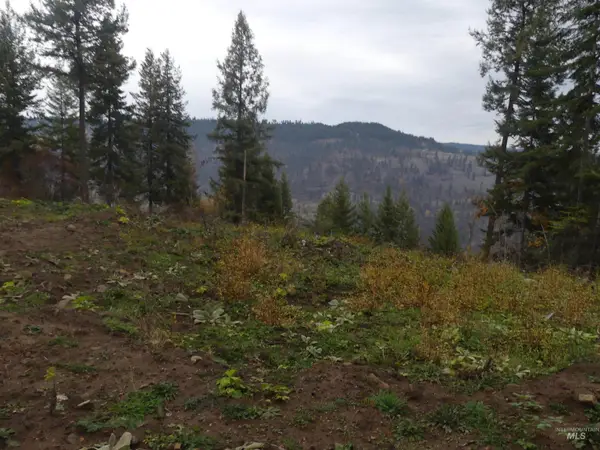 1684 Tranquil Lane (#1), Orofino, ID 83544