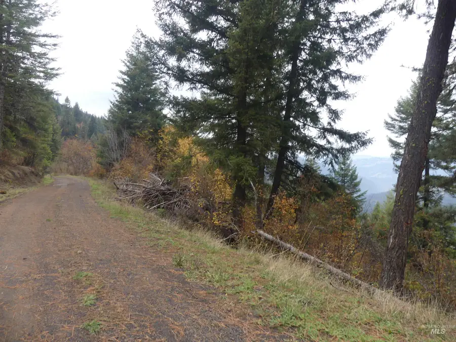 1684 Tranquil Lane (#1), Orofino, ID 83544 - Image #3
