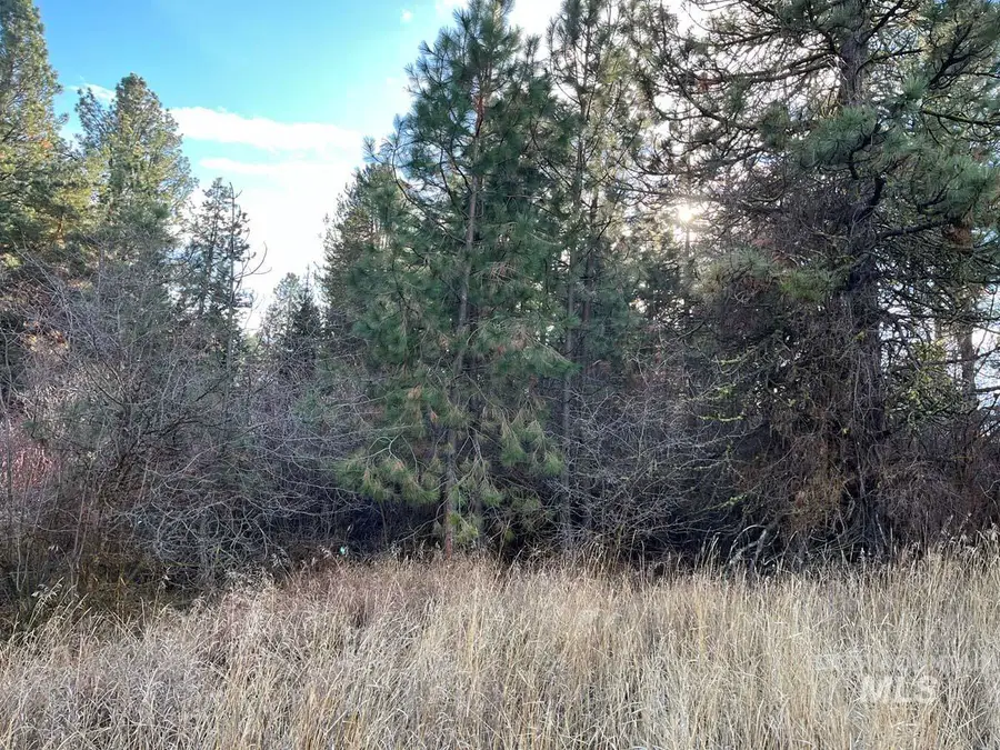 L129 Par Drive, Cascade, ID 83611 - #3