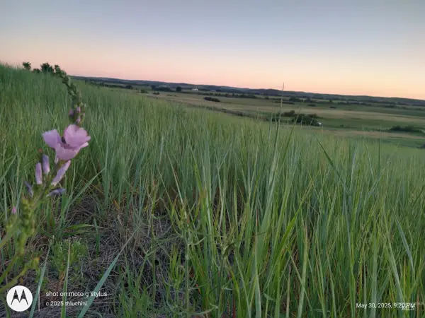 TBD Whiteman Ln, Indian Valley, ID 83632