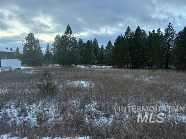 162 Fox Lane, McCall, ID 83638 - #2