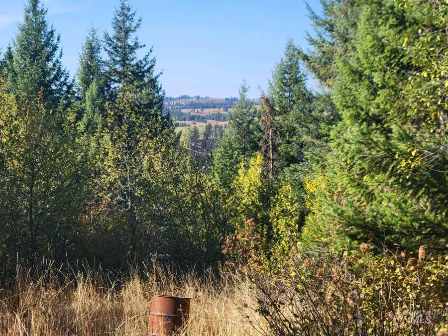 250 Shenandoah 3rd, Kamiah, ID 83536 - Image #2