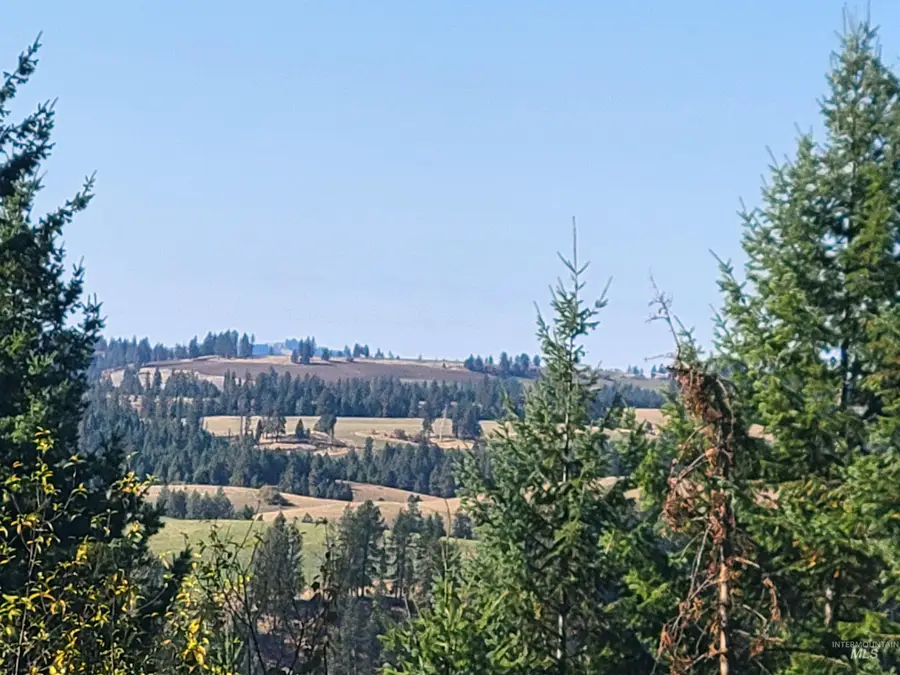 250 Shenandoah 3rd, Kamiah, ID 83536 - Image #3