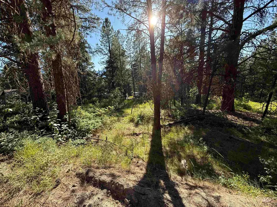 1307 Crown Point Parkway, Cascade, ID 83611 - Image #3