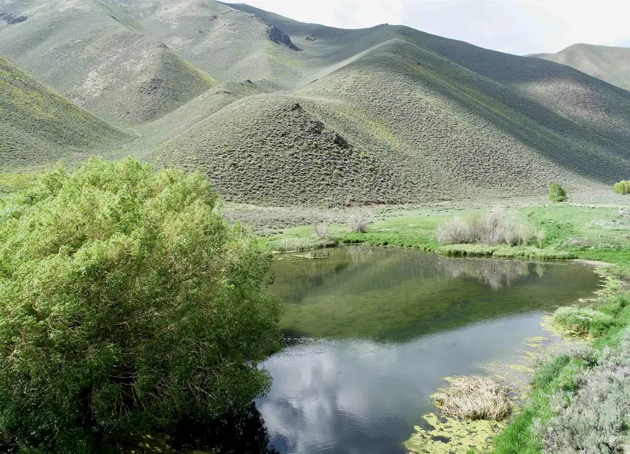 TBD Slaughterhouse Canyon Road, Bellevue, ID 83313 - Image #3