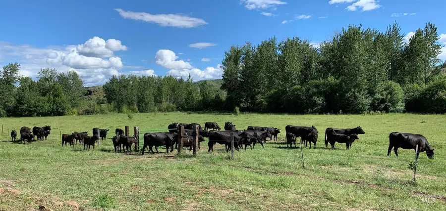 2168 Middle Fork Rd, Council, ID 83612 - Image #3